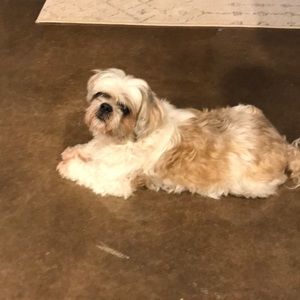 Meet your Posher, Darlene